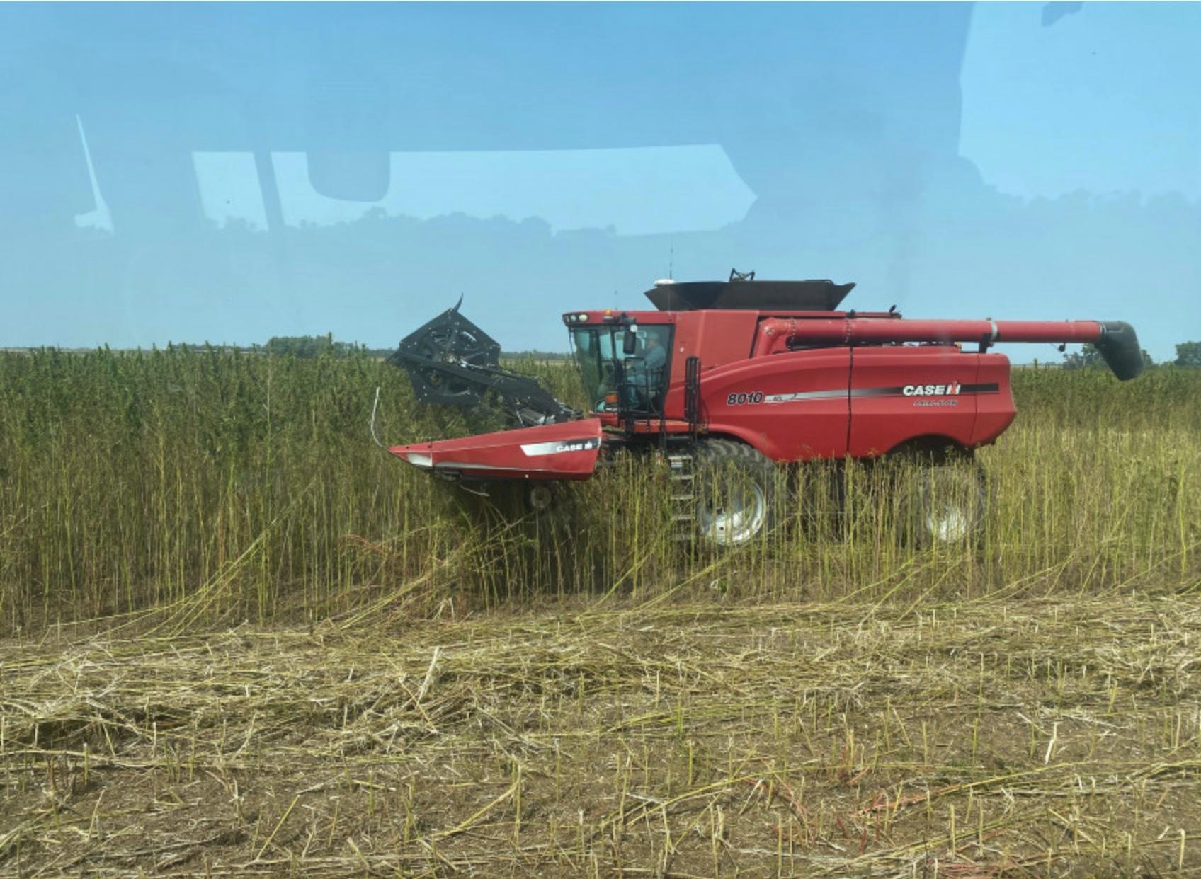 growing-industrial-hemp-in-kansas-butler-county-times-gazette